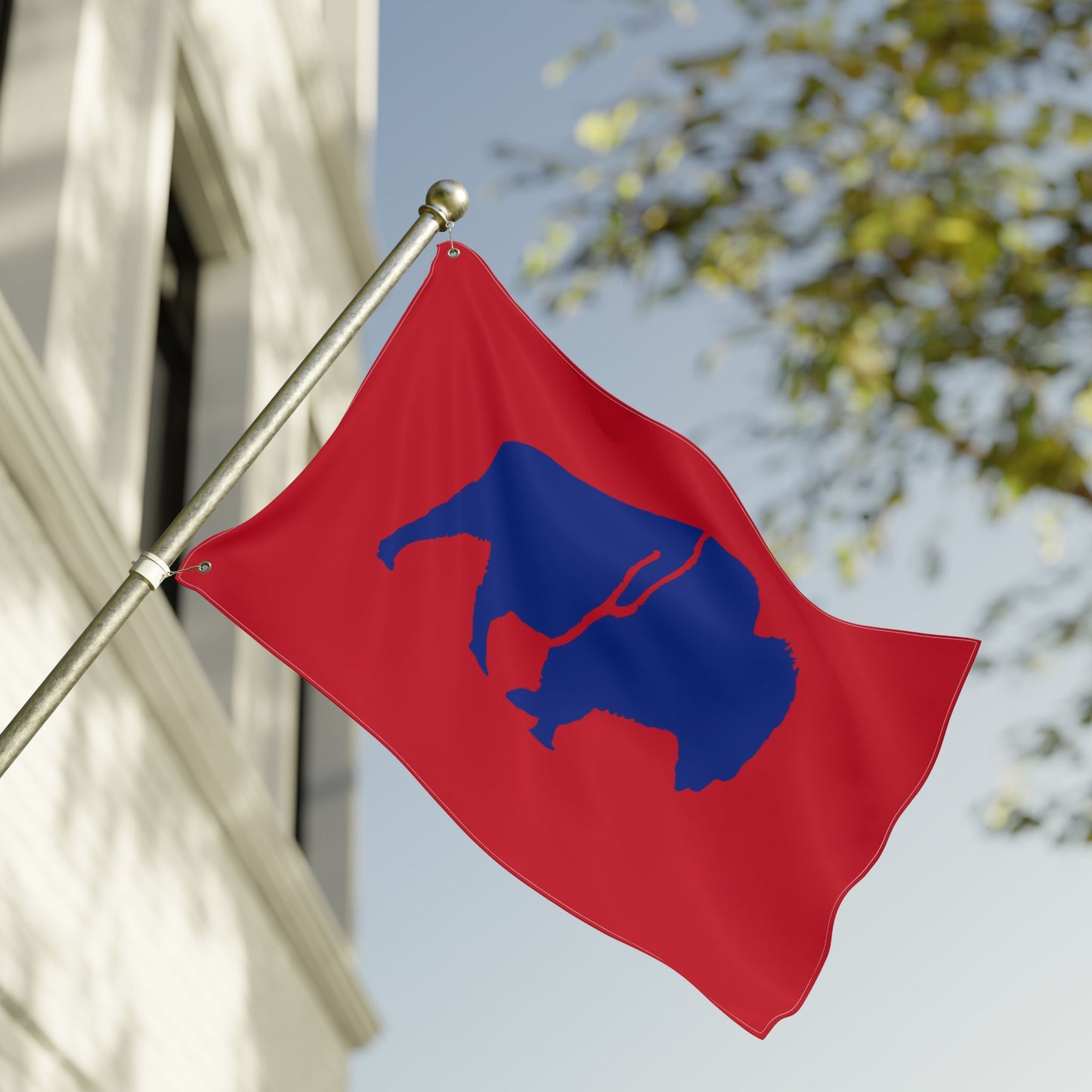 Vibrant Double Sided Flag, Outdoor Decor, Buffalo Art, Sports Fan Flag, Garden Banner, Home and Garden