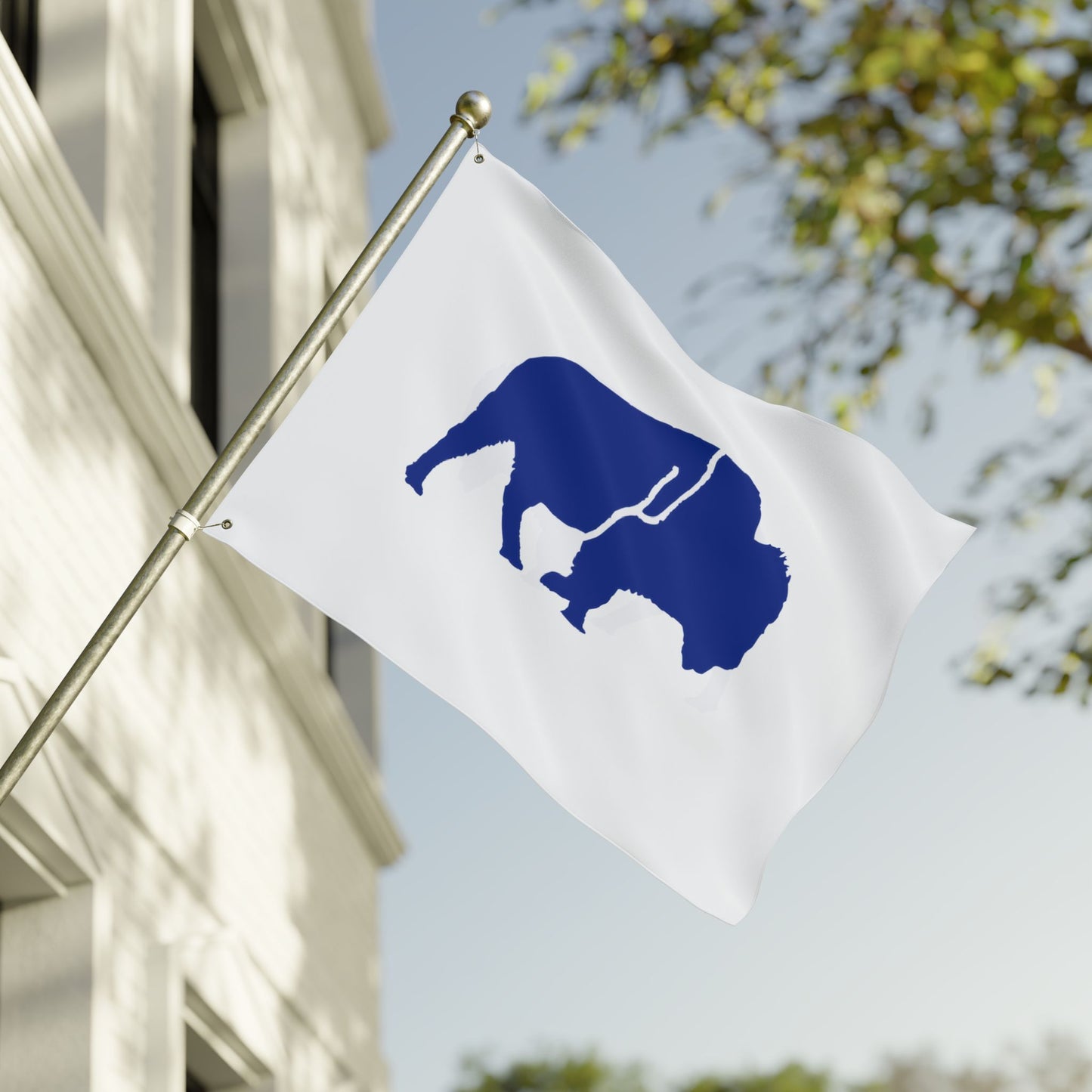 Bold Buffalo Double-Sided Flag, Outdoor Decor, Patriotic Banner, Wall Art, Party Decoration, Camp Flag