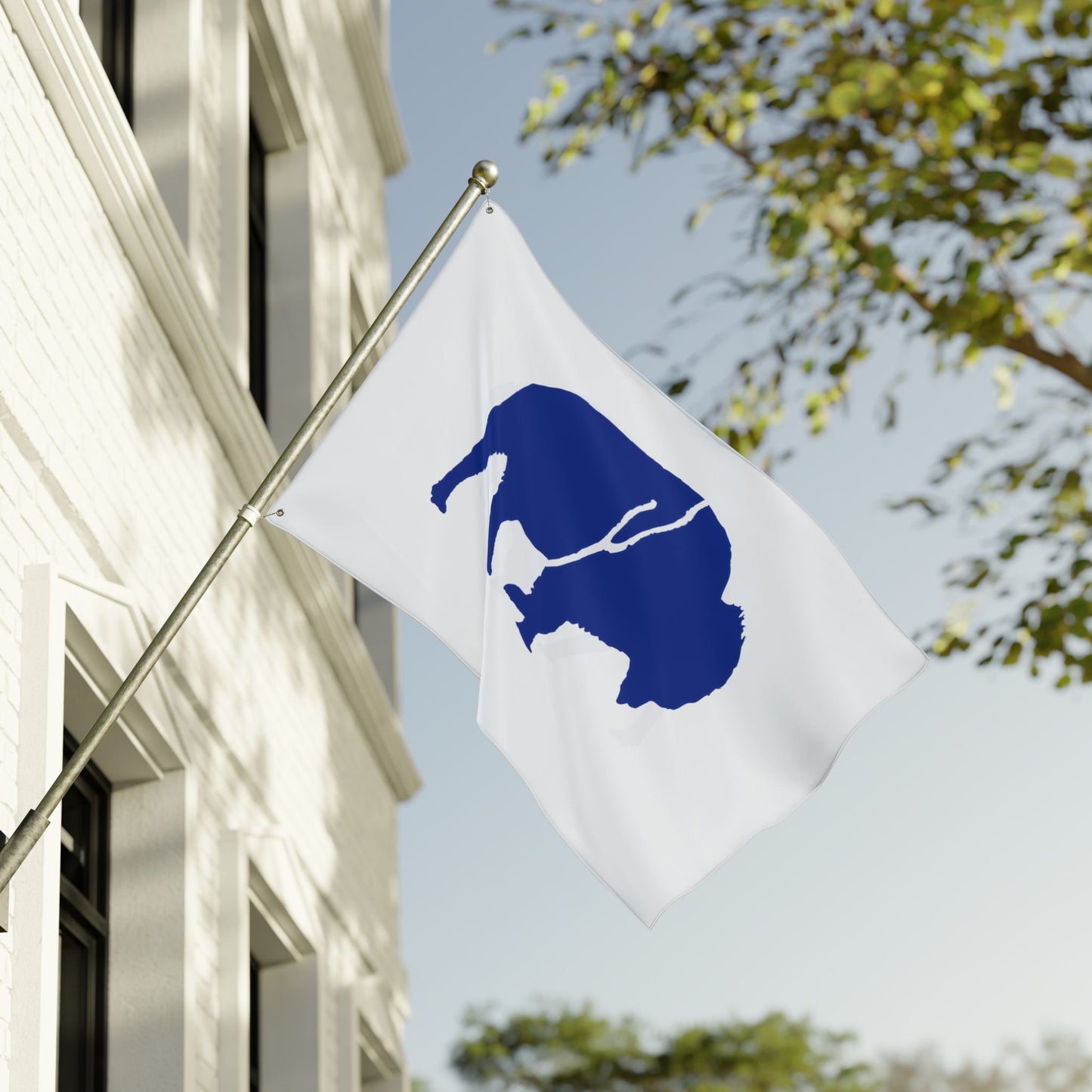 Bold Buffalo Double-Sided Flag, Outdoor Decor, Patriotic Banner, Wall Art, Party Decoration, Camp Flag
