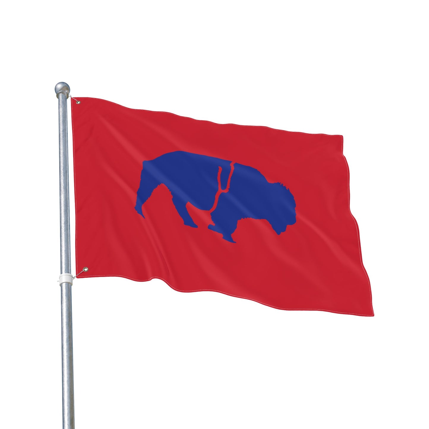 Vibrant Double Sided Flag, Outdoor Decor, Buffalo Art, Sports Fan Flag, Garden Banner, Home and Garden