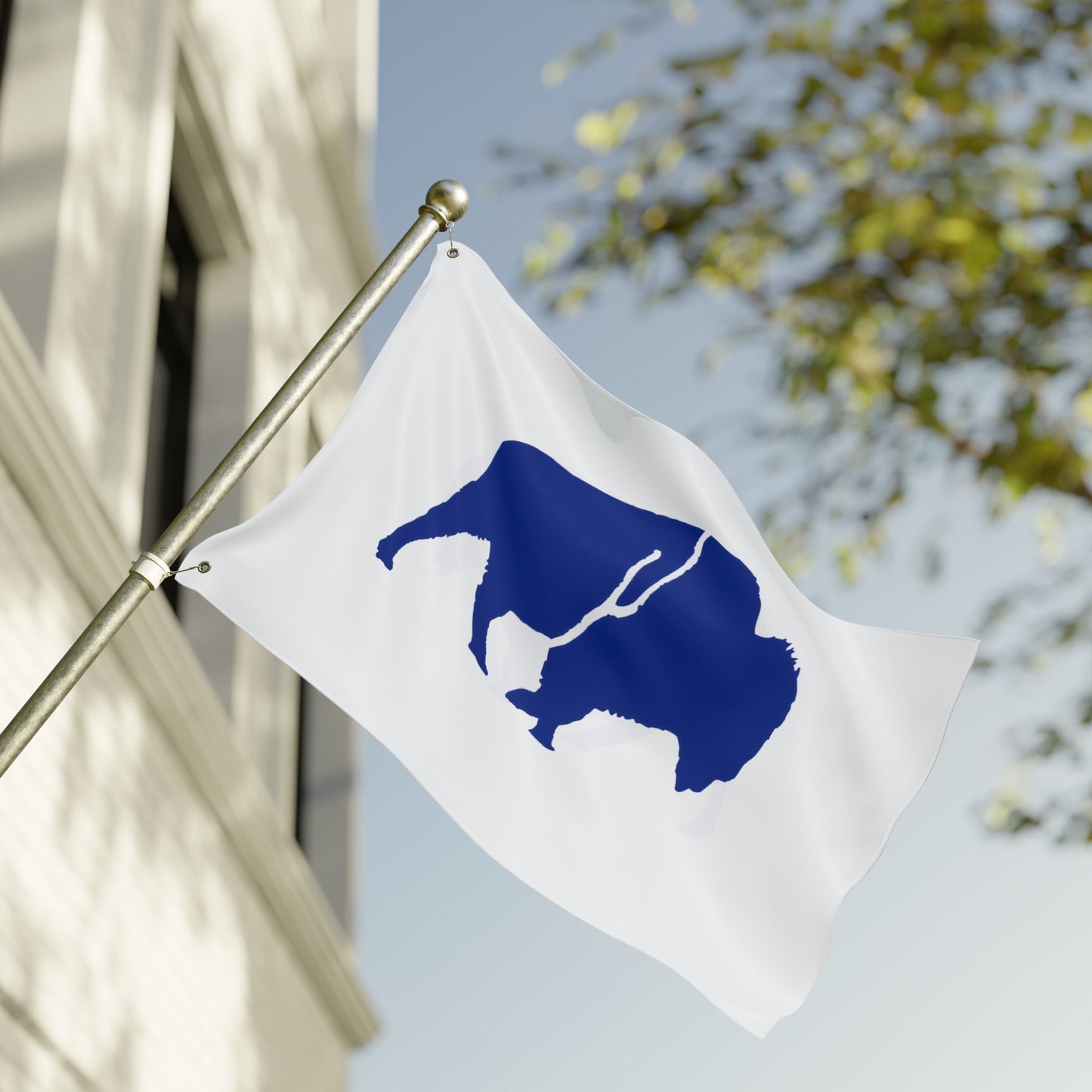 Bold Buffalo Double-Sided Flag, Outdoor Decor, Patriotic Banner, Wall Art, Party Decoration, Camp Flag