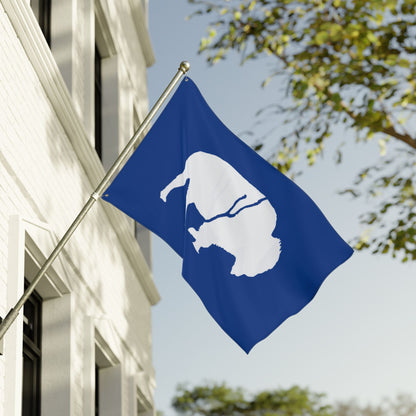 Buffalo Double-Sided Flag, Outdoor Decor, Patriotic Flag, Wall Hanging, Gift for Nature Lovers, Home Decoration