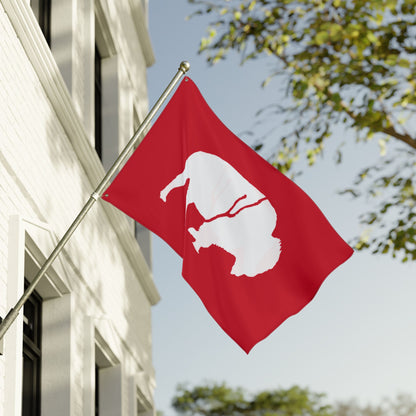 Double Sided Flag
