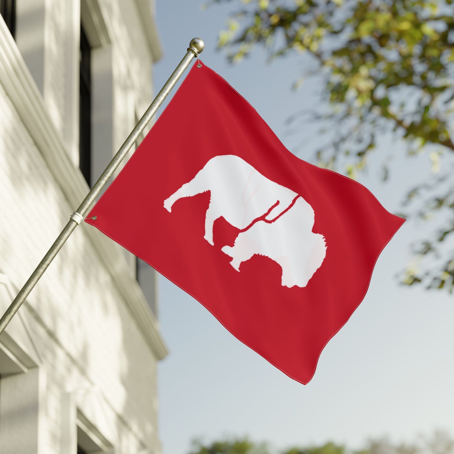 Double Sided Flag