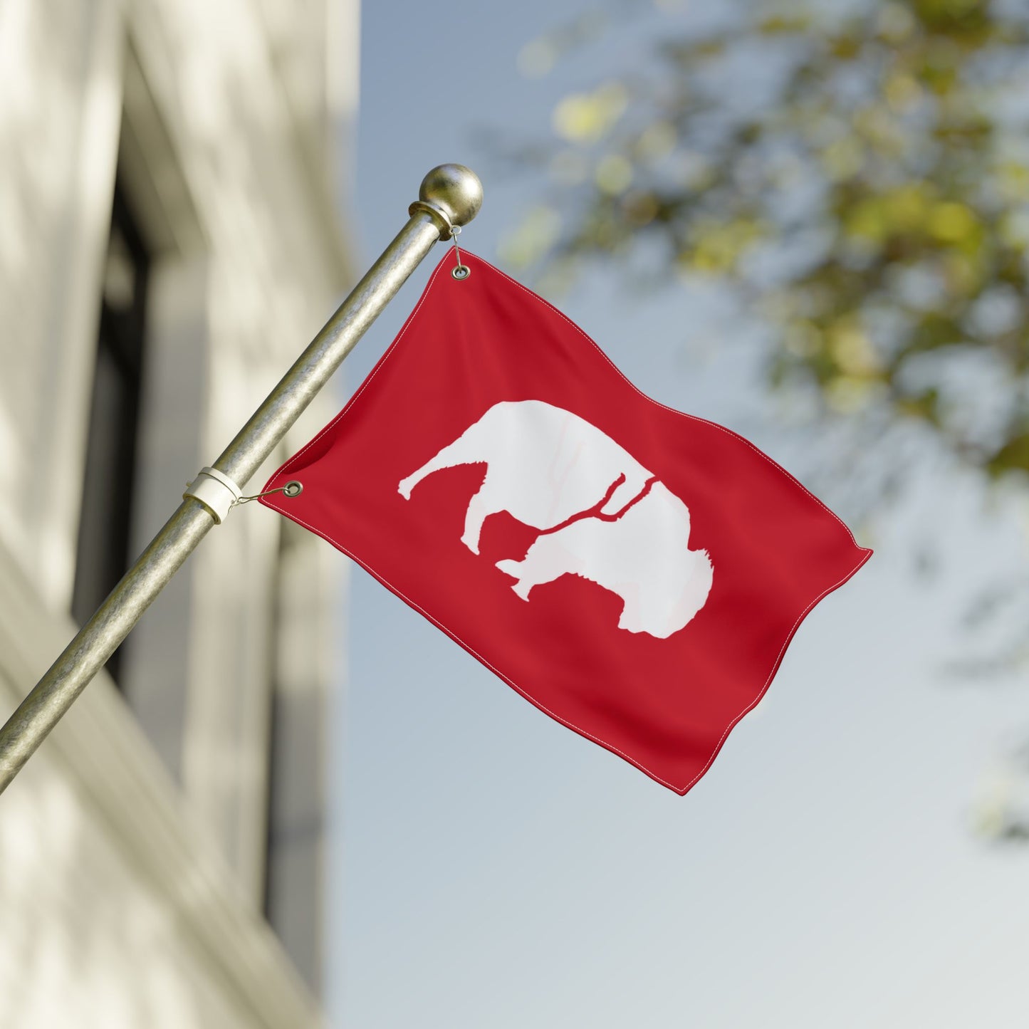 Double Sided Flag