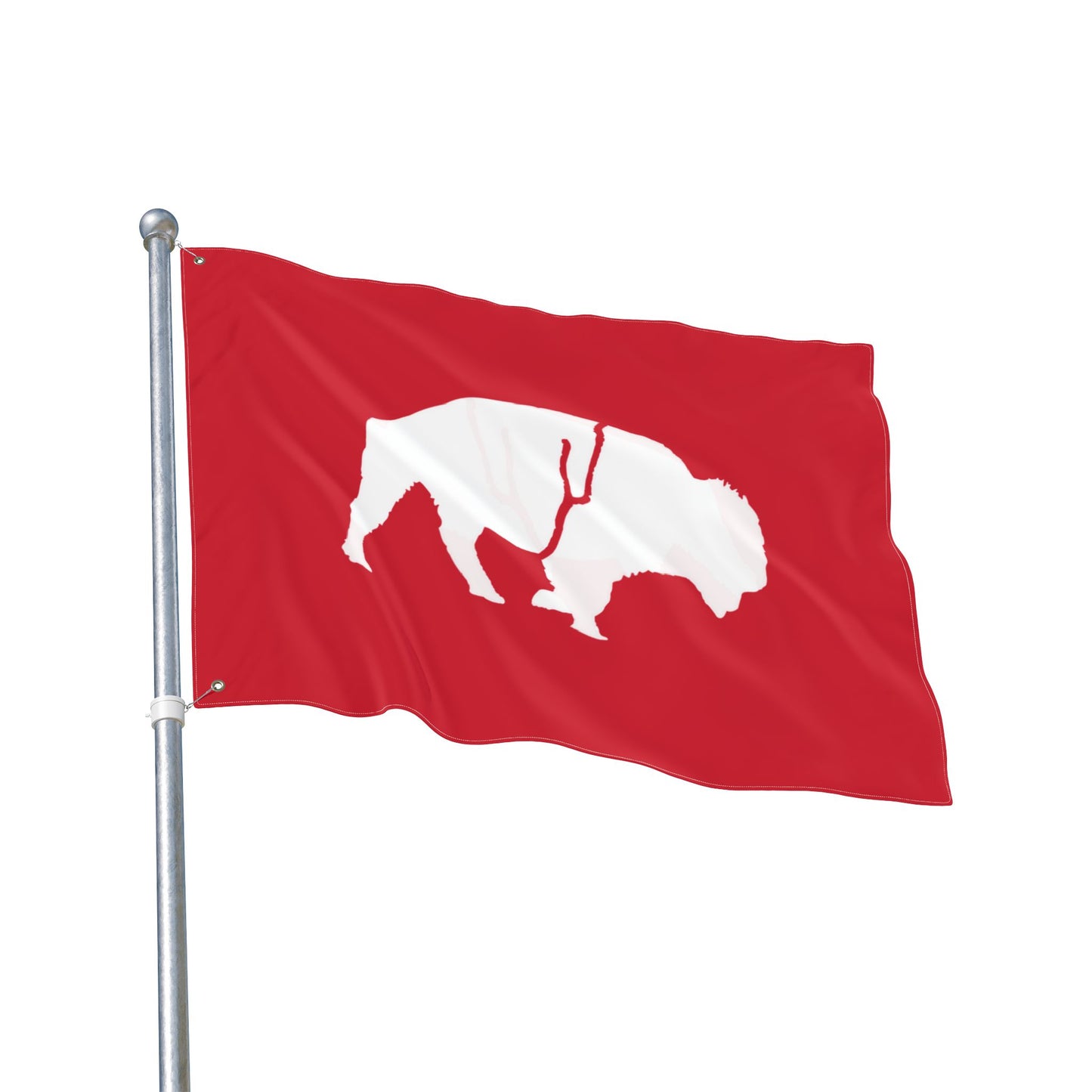 Double Sided Flag