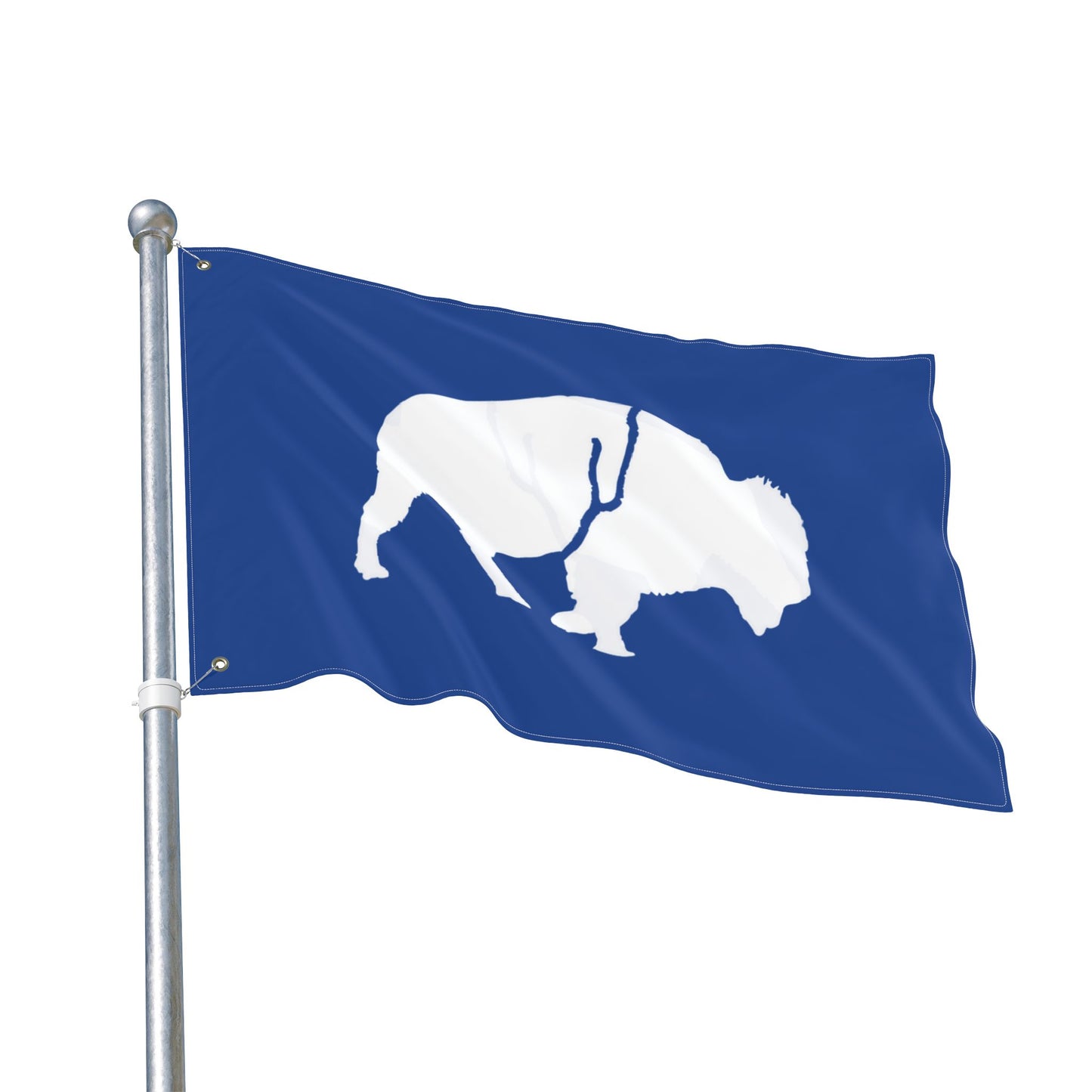 Buffalo Double-Sided Flag, Outdoor Decor, Patriotic Flag, Wall Hanging, Gift for Nature Lovers, Home Decoration