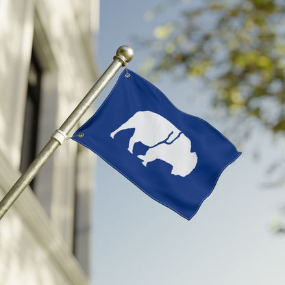 Buffalo Double-Sided Flag, Outdoor Decor, Patriotic Flag, Wall Hanging, Gift for Nature Lovers, Home Decoration