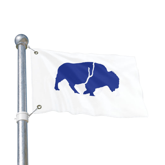 Bold Buffalo Double-Sided Flag, Outdoor Decor, Patriotic Banner, Wall Art, Party Decoration, Camp Flag