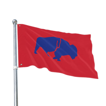 Vibrant Double Sided Flag, Outdoor Decor, Buffalo Art, Sports Fan Flag, Garden Banner, Home and Garden