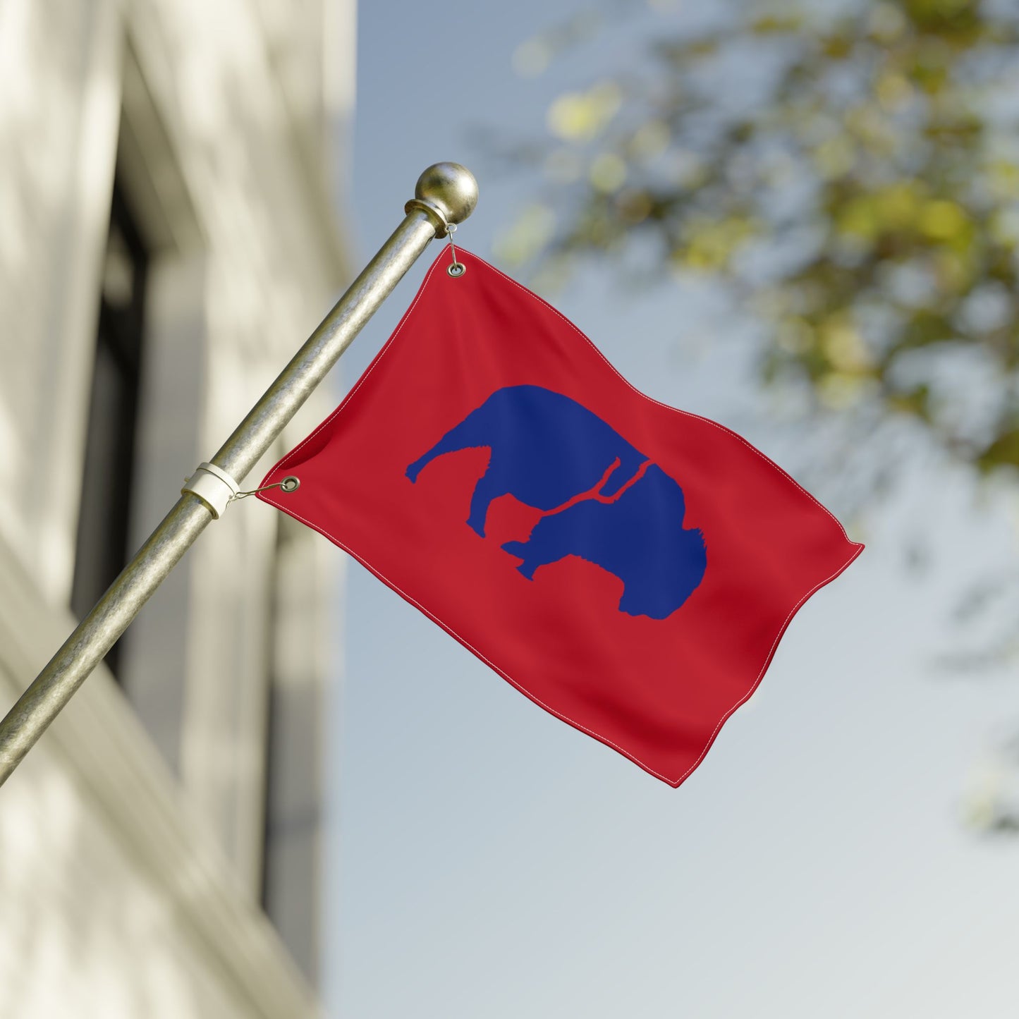 Vibrant Double Sided Flag, Outdoor Decor, Buffalo Art, Sports Fan Flag, Garden Banner, Home and Garden