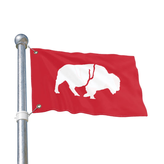 Double Sided Flag