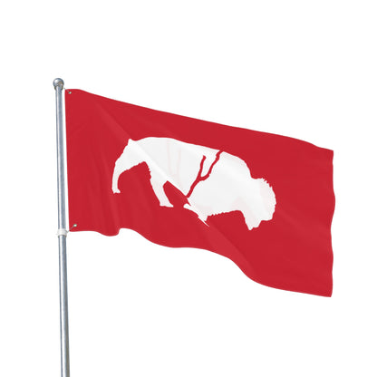 Double Sided Flag