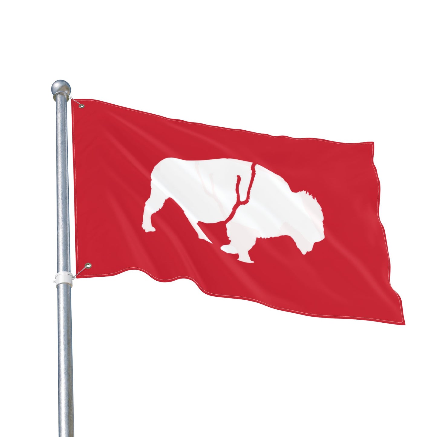 Double Sided Flag