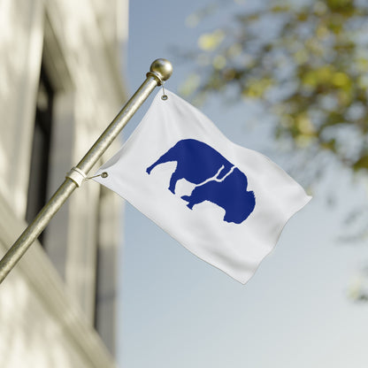 Bold Buffalo Double-Sided Flag, Outdoor Decor, Patriotic Banner, Wall Art, Party Decoration, Camp Flag