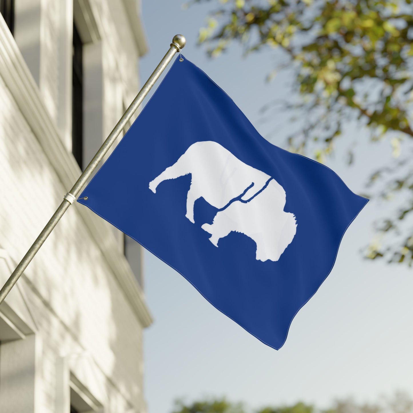 Buffalo Double-Sided Flag, Outdoor Decor, Patriotic Flag, Wall Hanging, Gift for Nature Lovers, Home Decoration