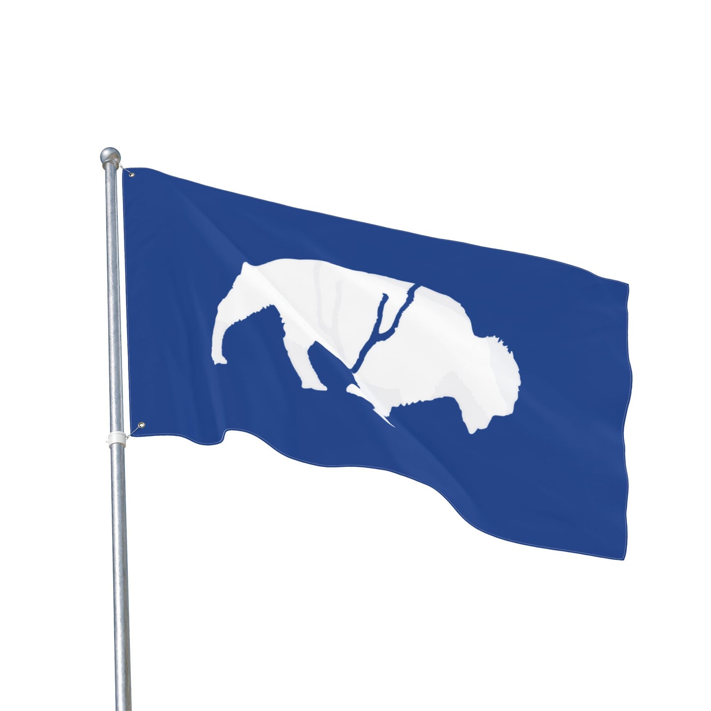 Buffalo Double-Sided Flag, Outdoor Decor, Patriotic Flag, Wall Hanging, Gift for Nature Lovers, Home Decoration