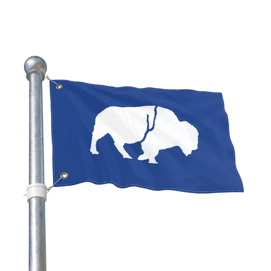 Buffalo Double-Sided Flag, Outdoor Decor, Patriotic Flag, Wall Hanging, Gift for Nature Lovers, Home Decoration