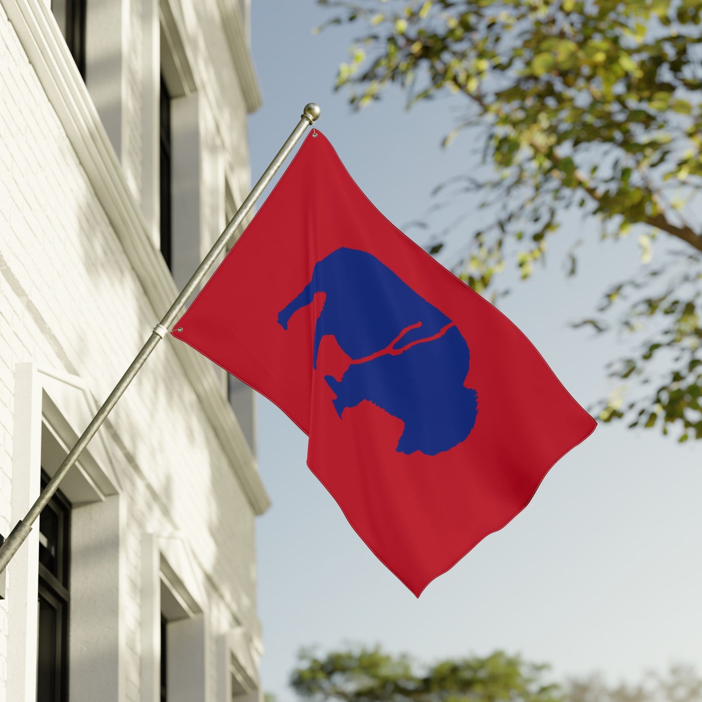 Vibrant Double Sided Flag, Outdoor Decor, Buffalo Art, Sports Fan Flag, Garden Banner, Home and Garden