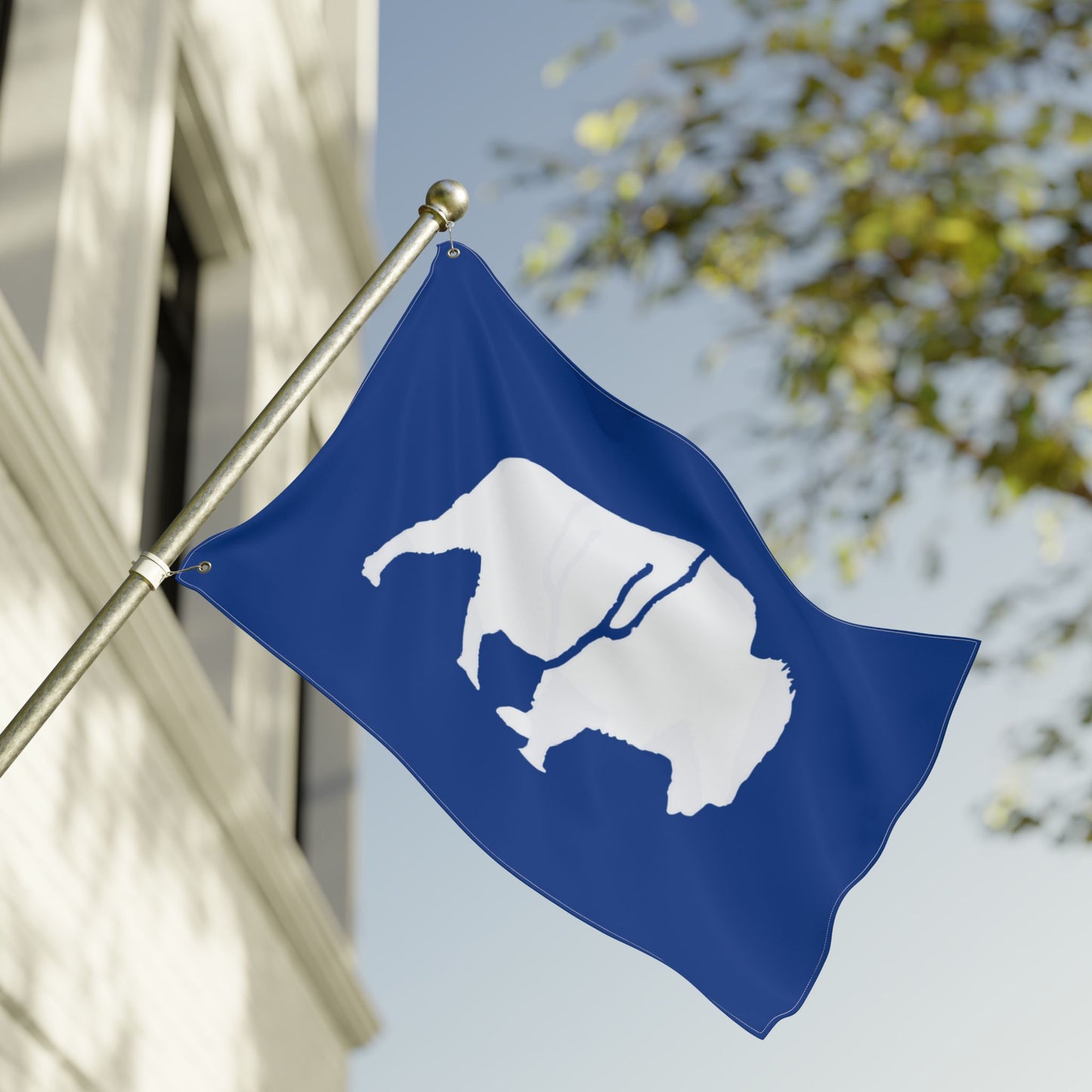 Buffalo Double-Sided Flag, Outdoor Decor, Patriotic Flag, Wall Hanging, Gift for Nature Lovers, Home Decoration