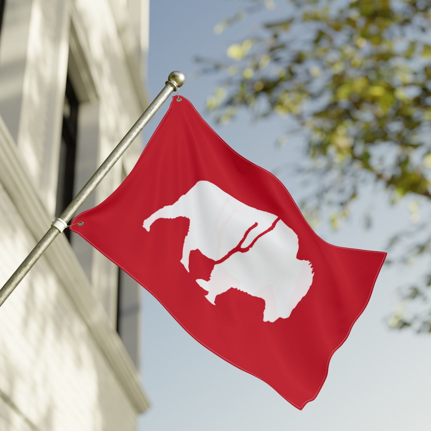 Double Sided Flag