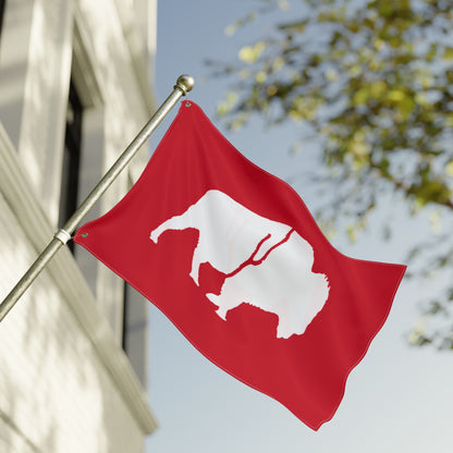 Double Sided Flag