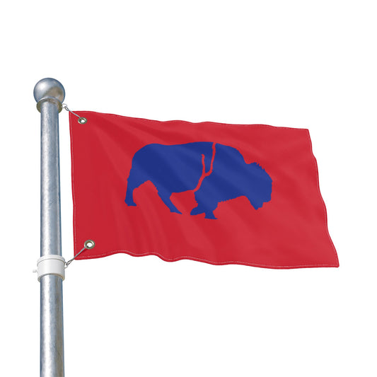 Vibrant Double Sided Flag, Outdoor Decor, Buffalo Art, Sports Fan Flag, Garden Banner, Home and Garden