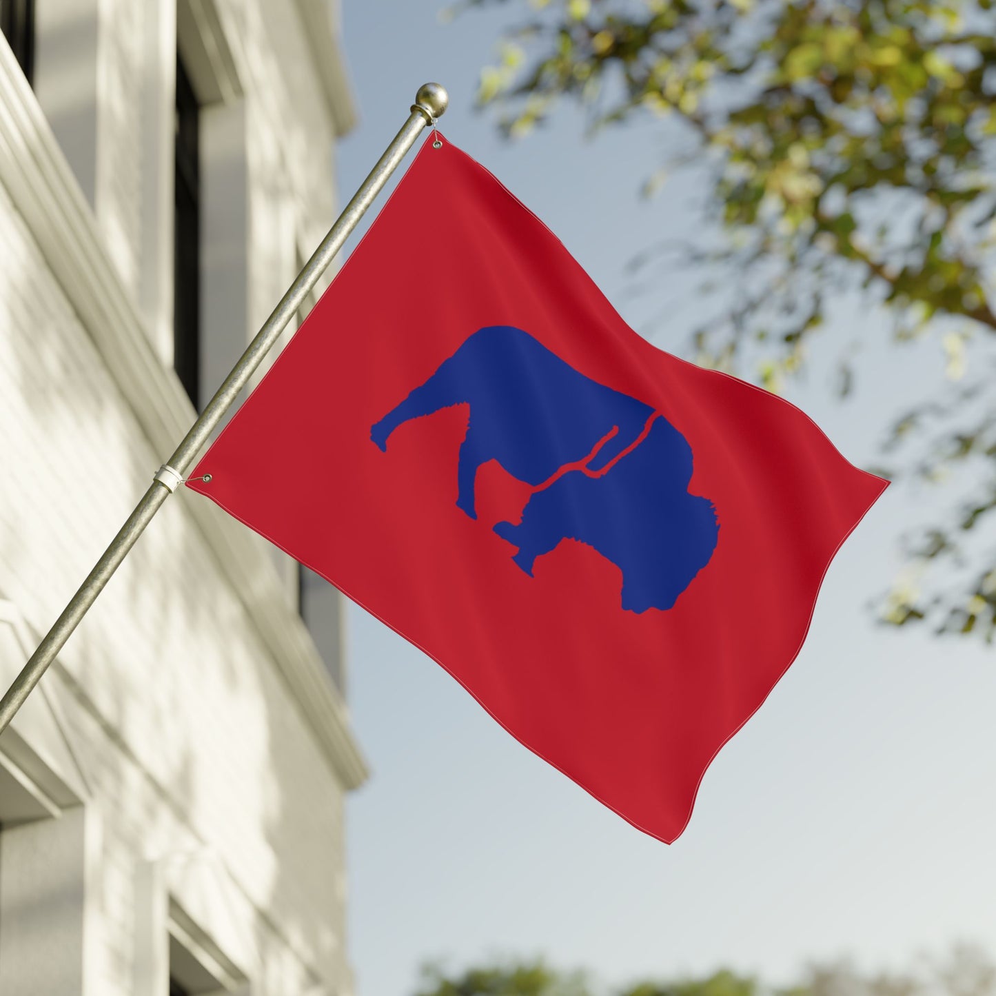 Vibrant Double Sided Flag, Outdoor Decor, Buffalo Art, Sports Fan Flag, Garden Banner, Home and Garden
