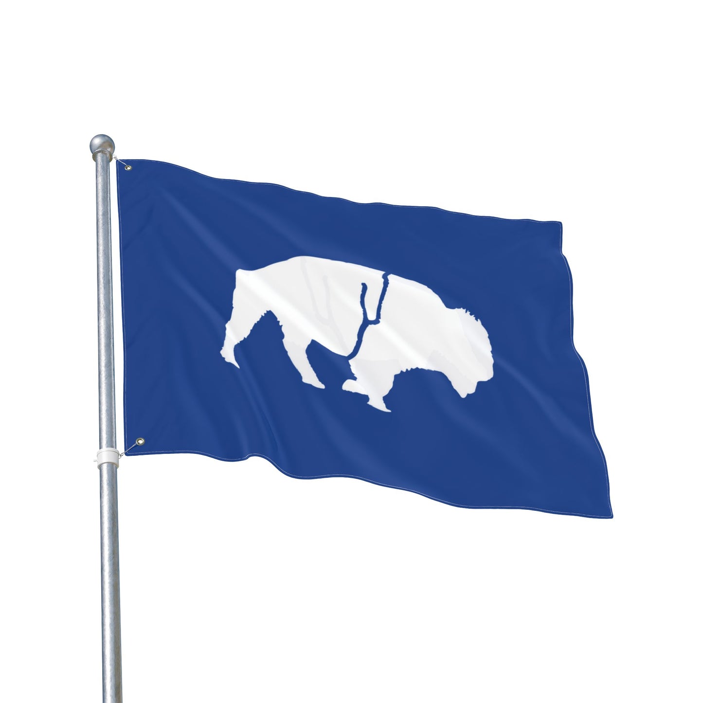 Buffalo Double-Sided Flag, Outdoor Decor, Patriotic Flag, Wall Hanging, Gift for Nature Lovers, Home Decoration