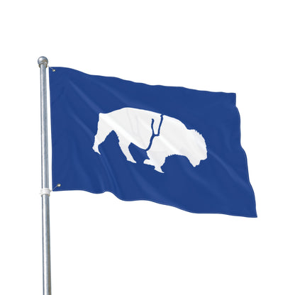 Buffalo Double-Sided Flag, Outdoor Decor, Patriotic Flag, Wall Hanging, Gift for Nature Lovers, Home Decoration